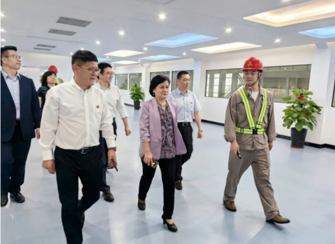 陈洁英到PP电子游戏公司发展工作调研